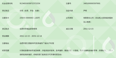 合肥大智慧信息技术 计算机软硬件技术开发的创新引擎